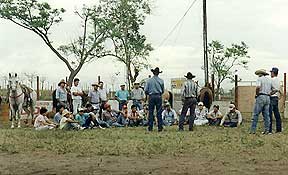 Lazo de Becerro, Panam&aacute;