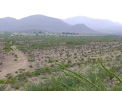 Rancho La Alegr&iacute;a, General Cepeda, Coahuila